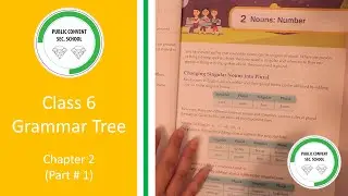Grammar Tree | Class # 6 | Chapter 2 Nouns: Numbers (Part # 1)