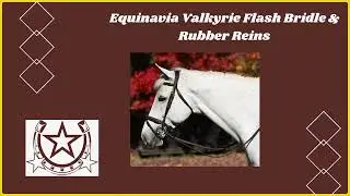 Equinavia Valkyrie Flash Bridle & Rubber Reins video