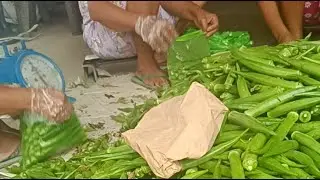 harvest ng Okra