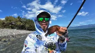 Light Rock FISHING with Teacher VM | Y6E27