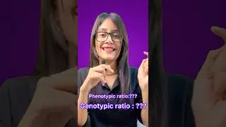 Phenotypic vs Genotypic Ratio in Mendel&rsquo;s Dihybrid Cross 🔬🌱 #genetics #heredity  #class10th