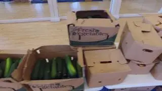 Stanford Graduate Assistants Rely on Free Food Distribution