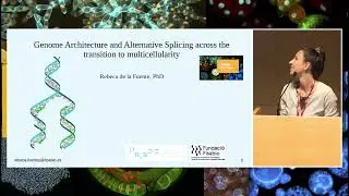 Rebeca de la Fuente - talk at the EMBO Workshop on Multicellularity, October 2025, Barcelona