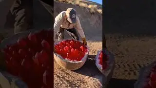 Разбив гигантскую жеоду, мы обнаружили внутри потрясающую кристаллическую структуру красного цвета.