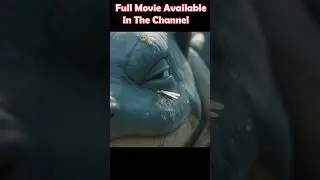 BLASTOISE: Ultimate Apex Predator? #Blastoise #pokemon   #Documentary #reallife