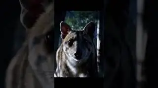 Ghost of the Wilderness: Part 3 #ai #cinematic #documentary #movie #nature #storytelling #thylacine