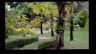 Palm Paradise Resort Thailand (Area)