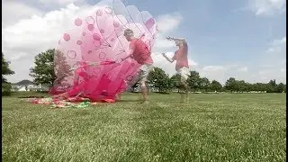 Trilobite Kite and Jellyfish Kite