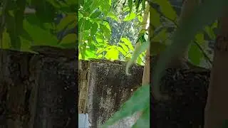 iPhone 14 Zoom #2022 #phone #iphone #iphone14 #newphone  #ytshorts #youtube #youtubeshorts#youtuber