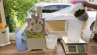 calamansi juicer machine