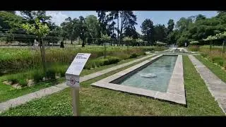 Geneve Rose Garden