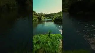Река Аргамач #природа #природароссии #липецкаяобласть #аргамач #nature #fpv #cinematicfpv