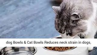 Elevated Pet Bowls