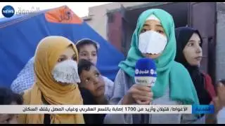 الأغواط: قتيلان وأزيد من 1700 إصابة باللسع العقربي وغياب المصل يقلق السكان