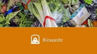Veolia Markets & solutions | Biowaste