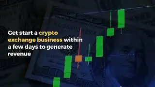 How to find the right Binance clone script for your crypto exchange business?