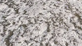 Grass under snow  material 02