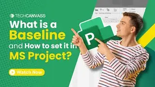 What is Baseline in MS Project? | How to set baseline in MS Project? - Techcanvass