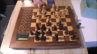 Novag gegen die Welt 1963 Elo gegen Super Expert C Tr&auml;ume vom Damenfang