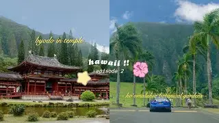 hawaii !! ep. 02: breakfast buffet, byodo-in temple,  catamaran ⛵️