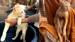 Rescue ! The Weather  To Hot....MaMa Take Tommy & Katty To Bath
