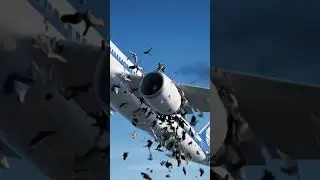 #flightaccident