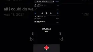 voice memo diaries 🌧️ #songidea