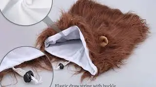 Transform Your Dog into a Noble Lion! 🦁🐾 | The Ultimate Halloween Costume for Pets