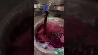 Hydraulic Cold Press Pomegranate Arils Juice,No Bitter