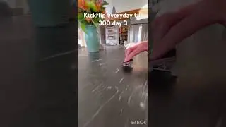 Kickflip everyday till 300subs day 3#fingerboardlove #freestyle #fingerskateboard #skateboardvibes