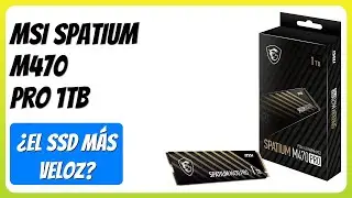 RESE&Ntilde;A (2025) : MSI SPATIUM M470 Pro 1TB. DETALLES ESENZIALES
