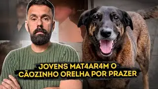 PAIS DE GAROTOS FOGEM E PROTEGEM OS CR1MIN9SOS