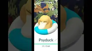 First Look: Psyduck with Swim Ring & Exclusive New Background Pok&eacute;mon GO! 🤩