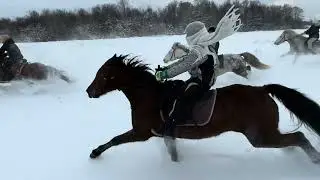 4 января | Зима, лошади и постепенный прогресс