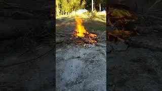 TGF - More burning #homestead #farmstead #tgf #cleanup #hardworkout