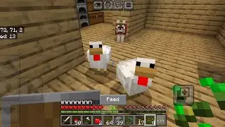 Error Plays Minecraft Survival | New Pet & Egg Farm