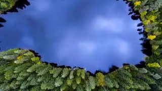 Beautiful lake Feldsee (Feldberg) | Aerial (4K)