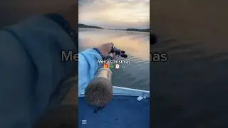 Merry Christmas 🎁🎄🎅🎣 #christmas #merrychristmas #fishing #viral #shorts #meme #funny