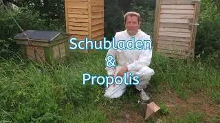 Hilfe!! Verklebte Schubladen durch Propolis?! Bienengesundheit ohne Chemie! Artgerecht Imkern leicht