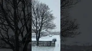First Snow Falling In North Shields Area 2026 #shorts #snow #northeast #northshields