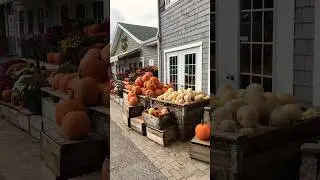 Entrance of Pumpkin farm 🎃👻 #canada #halloween #montreal #کانادا #pumpkin #pumpkinfarm