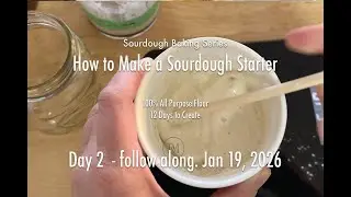 How to Make a Sourdough Starter   Day 2   Day by Day