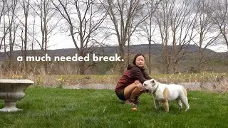 A Weekend Getaway from NYC VLOG | hiking, waterfalls, and cider tasting in High Falls, NY 🍎