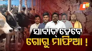 Police Bust Major Cattle Smuggling Racket on NH-49, 7 Arrested