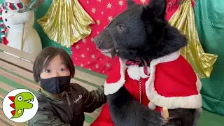 レオくんがおでかけ！ Part38 トイキッズ