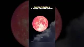 A Rare Pink Moon is Coming 🤩🤯 #space #moon #science #astronomy #shorts #nasa