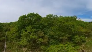 湿原その１ 20250606 101641 00 150