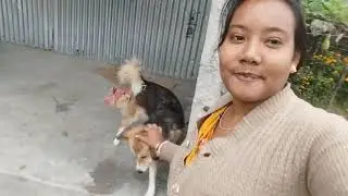 কোন সিজেনে বিয়ে করলে কি হয়😀 রাতে টমি পালিয়ে গেলো মেয়ে একাই রাতে ছিল #vlog #vlogs #video #love 