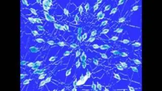 N Seraph - Neurosolvatation