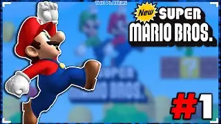 &iexcl;AHHHH! Mario Bros DS #1  #mario  @ThePlayers1-2 @Palkia98